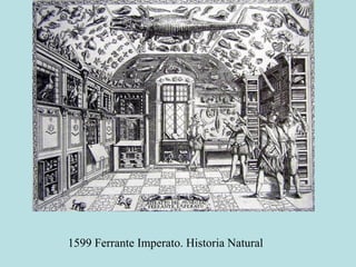 1599 Ferrante Imperato. Historia Natural
 