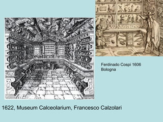 Ferdinado Cospi 1606
                                      Bologna




1622, Museum Calceolarium, Francesco Calzolari
 