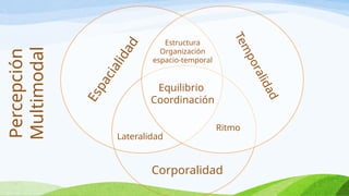 E
s
p
a
c
i
a
l
i
d
a
d
T
e
m
p
o
r
a
l
i
d
a
d
Estructura
Organización
espacio-temporal
Equilibrio
Coordinación
Lateralidad
Ritmo
Corporalidad
Percepción
Multimodal
 