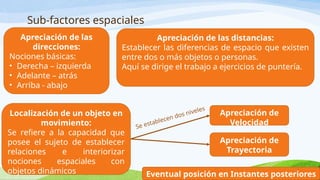 Sub-factores espaciales
Apreciación de las
direcciones:
Nociones básicas:
• Derecha – izquierda
• Adelante – atrás
• Arriba - abajo
Apreciación de las distancias:
Establecer las diferencias de espacio que existen
entre dos o más objetos o personas.
Aquí se dirige el trabajo a ejercicios de puntería.
Localización de un objeto en
movimiento:
Se refiere a la capacidad que
posee el sujeto de establecer
relaciones e interiorizar
nociones espaciales con
objetos dinámicos
Se establecen dos niveles
Apreciación de
Velocidad
Apreciación de
Trayectoria
Eventual posición en Instantes posteriores
 