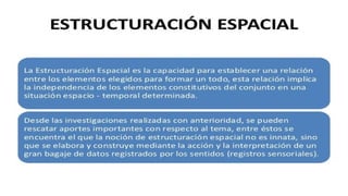 Concepto espacial en educacion parvularia