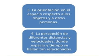 Concepto espacial en educacion parvularia