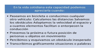 Concepto espacial en educacion parvularia