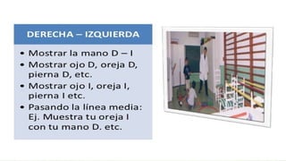 Concepto espacial en educacion parvularia