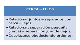 Concepto espacial en educacion parvularia