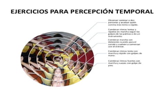 Concepto espacial en educacion parvularia