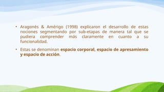 • Aragonés & Amérigo (1998) explicaron el desarrollo de estas
nociones segmentando por sub-etapas de manera tal que se
pudiera comprender más claramente en cuanto a su
funcionalidad.
• Estas se denominan espacio corporal, espacio de apresamiento
y espacio de acción.
 