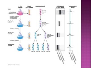 Concept of replication | PPT