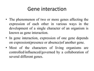 Gene interaction
• The phenomenon of two or more genes affecting the
expression of each other in various ways in the
development of a single character of an organism is
known as gene interaction.
• In gene interaction, expression of one gene depends
on expression(presence or absence)of another gene.
• Most of the characters of living organisms are
controlled/influenced/governed by a collaboration of
several different genes.
 