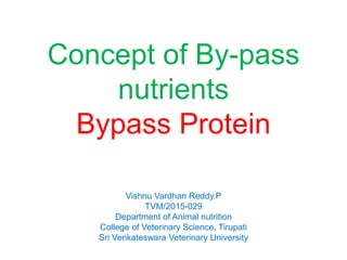 Concept of By-pass
nutrients
Bypass Protein
Vishnu Vardhan Reddy.P
TVM/2015-029
Department of Animal nutrition
College of Veterinary Science, Tirupati
Sri Venkateswara Veterinary University
 