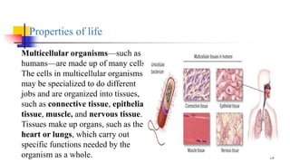 Overview of Biological Concepts and Principles | PPTX
