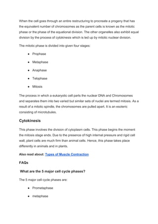 When the cell goes through an entire restructuring to procreate a progeny that has
the equivalent number of chromosomes as the parent cells is known as the mitotic
phase or the phase of the equational division. The other organelles also exhibit equal
division by the process of cytokinesis which is led up by mitotic nuclear division.
The mitotic phase is divided into given four stages:
● Prophase
● Metaphase
● Anaphase
● Telophase
● Mitosis
The process in which a eukaryotic cell parts the nuclear DNA and Chromosomes
and separates them into two varied but similar sets of nuclei are termed mitosis. As a
result of a mitotic spindle, the chromosomes are pulled apart. It is an esoteric
consisting of microtubules.
Cytokinesis
This phase involves the division of cytoplasm cells. This phase begins the moment
the mitosis stage ends. Due to the presence of high internal pressure and rigid cell
wall, plant cells are much firm than animal cells. Hence, this phase takes place
differently in animals and in plants.
Also read about: Types of Muscle Contraction
FAQs
What are the 5 major cell cycle phases?
The 5 major cell cycle phases are:
● Prometaphase
● metaphase
 