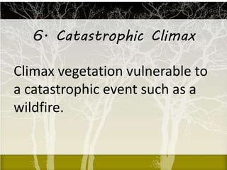 6. Catastrophic Climax
Climax vegetation vulnerable to
a catastrophic event such as a
wildfire.
 