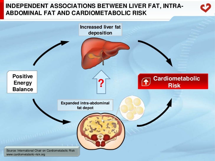 The concept of cardiometabolic risk