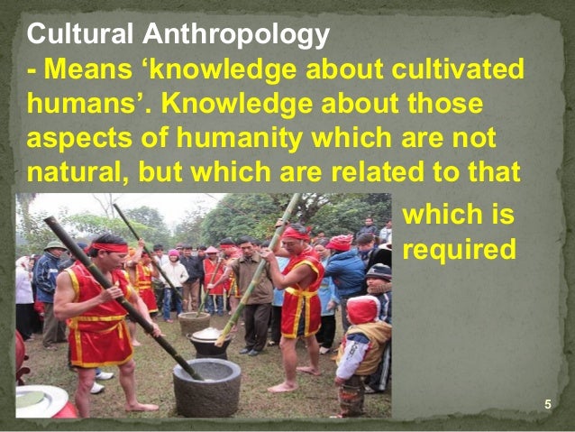 Concept Of Anthropology And Culture Concept Of Anthropology And Culture