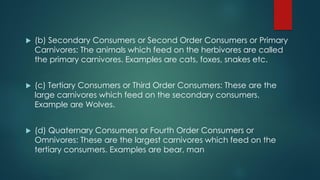  (b) Secondary Consumers or Second Order Consumers or Primary
Carnivores: The animals which feed on the herbivores are called
the primary carnivores. Examples are cats, foxes, snakes etc.
 (c) Tertiary Consumers or Third Order Consumers: These are the
large carnivores which feed on the secondary consumers.
Example are Wolves.
 (d) Quaternary Consumers or Fourth Order Consumers or
Omnivores: These are the largest carnivores which feed on the
tertiary consumers. Examples are bear, man
 