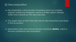 (ii) Decomposition
 Decomposition is the process of breaking down of complex
organic matter into inorganic substances like carbon dioxide,
water and nutrients by the decomposers.
 The upper layer of soil is the main site for decomposition processes
in the ecosystem.
 Dead plant parts and animal remains constitute detritus, which is
the raw material for decomposition.
 
