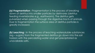 (a) Fragmentation : Fragmentation is the process of breaking
down of detritus into smaller particles by detrivores (detritus
feeding invertebrates e.g., earthworm). The detritus gets
pulverized when passing through the digestive tracts of animals.
Due to fragmentation the surface area of detritus particles is
greatly increased.
(b) Leaching : In the process of leaching watersoluble substances
(eg – sugars) from the fragmented detritus go down into the soil
horizon with the percolating water and get precipitated as
unavailable salts.
 