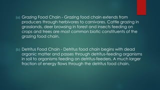 (a) Grazing Food Chain - Grazing food chain extends from
producers through herbivores to carnivores. Cattle grazing in
grasslands, deer browsing in forest and insects feeding on
crops and trees are most common biotic constituents of the
grazing food chain.
(b) Detritus Food Chain - Detritus food chain begins with dead
organic matter and passes through detritus-feeding organisms
in soil to organisms feeding on detritus-feeders. A much larger
fraction of energy flows through the detritus food chain.
 