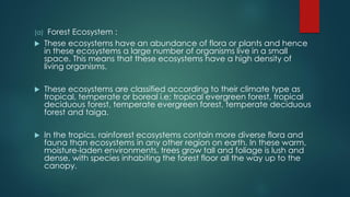 (a) Forest Ecosystem :
 These ecosystems have an abundance of flora or plants and hence
in these ecosystems a large number of organisms live in a small
space. This means that these ecosystems have a high density of
living organisms.
 These ecosystems are classified according to their climate type as
tropical, temperate or boreal i.e; tropical evergreen forest, tropical
deciduous forest, temperate evergreen forest, temperate deciduous
forest and taiga.
 In the tropics, rainforest ecosystems contain more diverse flora and
fauna than ecosystems in any other region on earth. In these warm,
moisture-laden environments, trees grow tall and foliage is lush and
dense, with species inhabiting the forest floor all the way up to the
canopy.
 