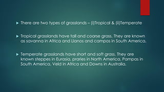  There are two types of grasslands – (i)Tropical & (ii)Temperate
 Tropical grasslands have tall and coarse grass. They are known
as savanna in Africa and Llanos and campos in South America.
 Temperate grasslands have short and soft grass. They are
known steppes in Eurasia, praries in North America, Pampas in
South America, Veld in Africa and Downs in Australia.
 