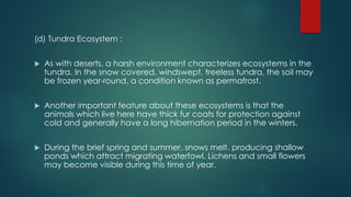 (d) Tundra Ecosystem :
 As with deserts, a harsh environment characterizes ecosystems in the
tundra. In the snow covered, windswept, treeless tundra, the soil may
be frozen year-round, a condition known as permafrost.
 Another important feature about these ecosystems is that the
animals which live here have thick fur coats for protection against
cold and generally have a long hibernation period in the winters.
 During the brief spring and summer, snows melt, producing shallow
ponds which attract migrating waterfowl. Lichens and small flowers
may become visible during this time of year.
 