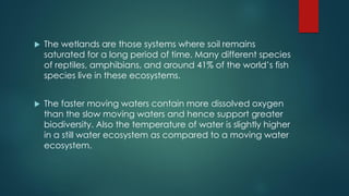  The wetlands are those systems where soil remains
saturated for a long period of time. Many different species
of reptiles, amphibians, and around 41% of the world’s fish
species live in these ecosystems.
 The faster moving waters contain more dissolved oxygen
than the slow moving waters and hence support greater
biodiversity. Also the temperature of water is slightly higher
in a still water ecosystem as compared to a moving water
ecosystem.
 