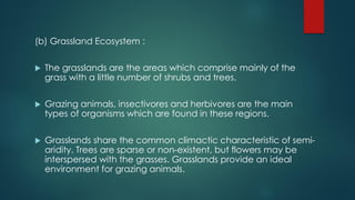 (b) Grassland Ecosystem :
 The grasslands are the areas which comprise mainly of the
grass with a little number of shrubs and trees.
 Grazing animals, insectivores and herbivores are the main
types of organisms which are found in these regions.
 Grasslands share the common climactic characteristic of semi-
aridity. Trees are sparse or non-existent, but flowers may be
interspersed with the grasses. Grasslands provide an ideal
environment for grazing animals.
 