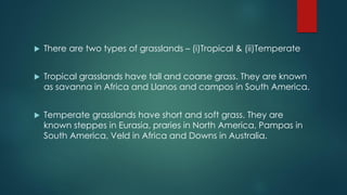  There are two types of grasslands – (i)Tropical & (ii)Temperate
 Tropical grasslands have tall and coarse grass. They are known
as savanna in Africa and Llanos and campos in South America.
 Temperate grasslands have short and soft grass. They are
known steppes in Eurasia, praries in North America, Pampas in
South America, Veld in Africa and Downs in Australia.
 
