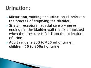  Micturition, voiding and urination all refers to
the process of emptying the bladder.
 Stretch receptors , special sensory nerve
endings in the bladder wall that is stimulated
when the pressure is felt from the collection
of urine .
 Adult range is 250 to 450 ml of urine ,
children: 50 to 200ml of urine
 