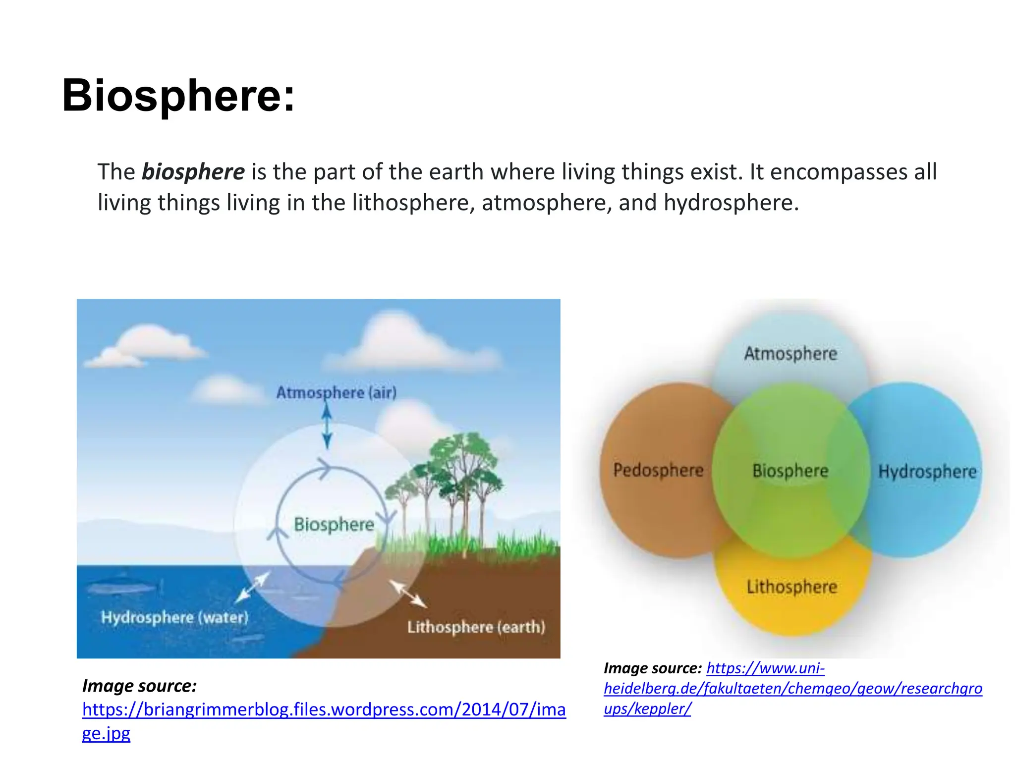 Biosphere:
The biosphere is the part of the earth where living things exist. It encompasses all
living things living in the lithosphere, atmosphere, and hydrosphere.
Image source: https://www.uni-
heidelberg.de/fakultaeten/chemgeo/geow/researchgro
ups/keppler/
Image source:
https://briangrimmerblog.files.wordpress.com/2014/07/ima
ge.jpg
 