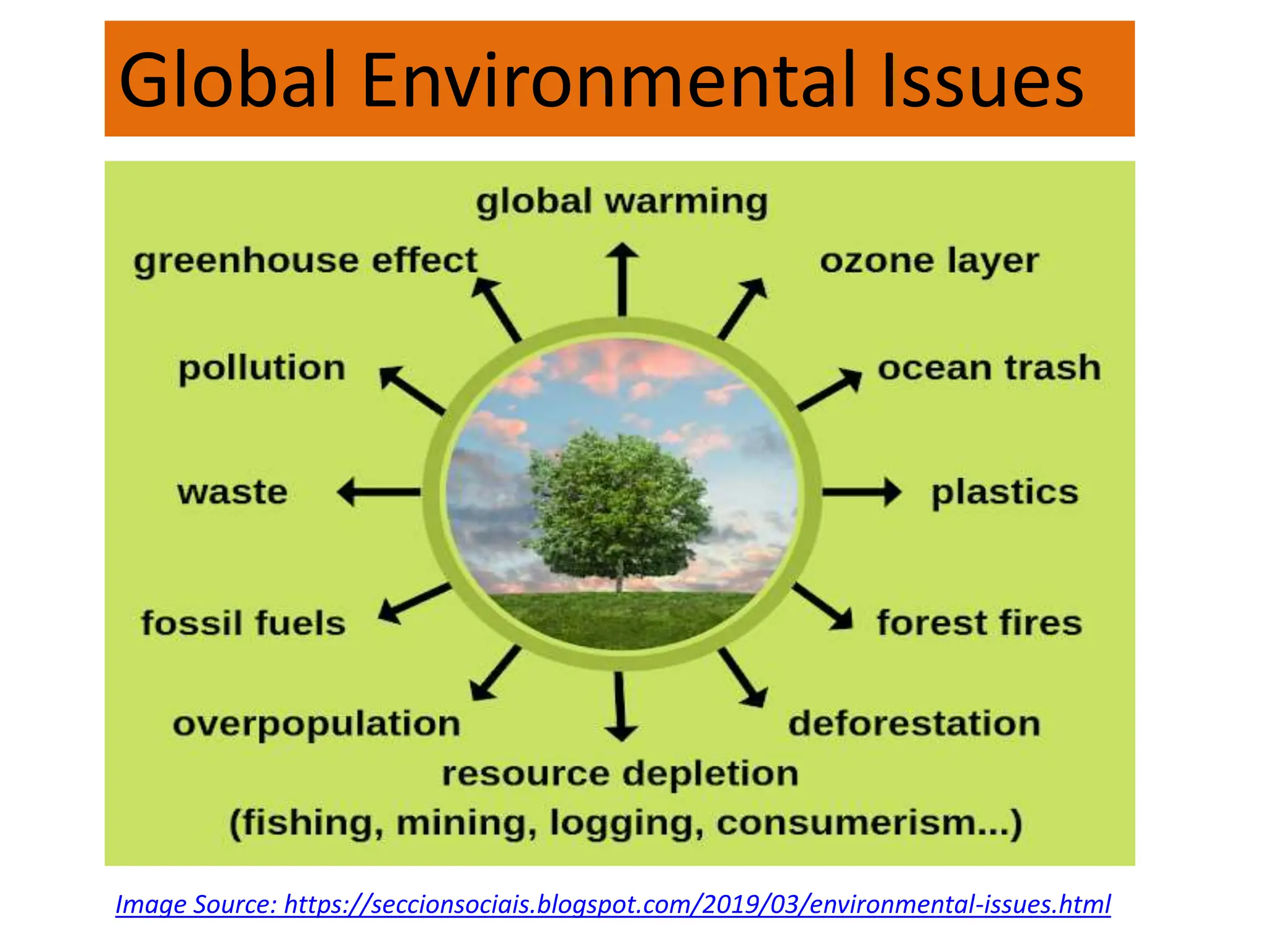 Global Environmental Issues
Image Source: https://seccionsociais.blogspot.com/2019/03/environmental-issues.html
 