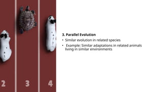 Comprehensive Overview of Evolution: Mechanisms, Types, and Real-Life ...