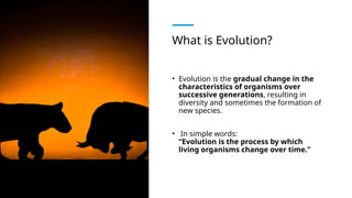 Comprehensive Overview of Evolution: Mechanisms, Types, and Real-Life ...