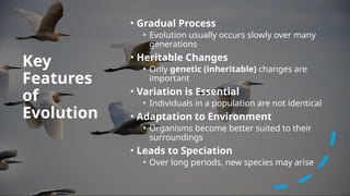 Slide Gradual Evolution Comprehensive Overview of Evolution: Mechanisms, Types, and Real-Life ...