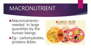 Concept of food science | PPTX