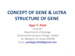 CONCEPT OF GENE & ULTRA
STRUCTURE OF GENE
Jigar V. Patel
Lecturer
Department of Zoology
Government Science Collage, Vankal
Ta. Mangrol, Di. Surat-394430
Email. pateljigar1818@gmail.com
1
 