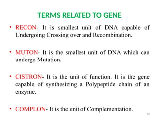 CONCEPT OF GENE EXPLAINED IN DETAIL WITH DIAGRAMS | PPTX