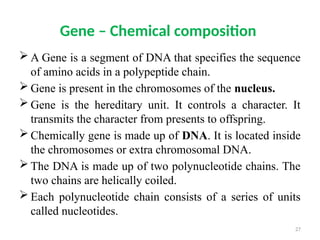 CONCEPT OF GENE EXPLAINED IN DETAIL WITH DIAGRAMS | PPTX