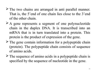 Gene Expression Chain CONCEPT OF GENE EXPLAINED IN DETAIL WITH DIAGRAMS | PPTX