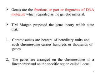 CONCEPT OF GENE EXPLAINED IN DETAIL WITH DIAGRAMS | PPTX