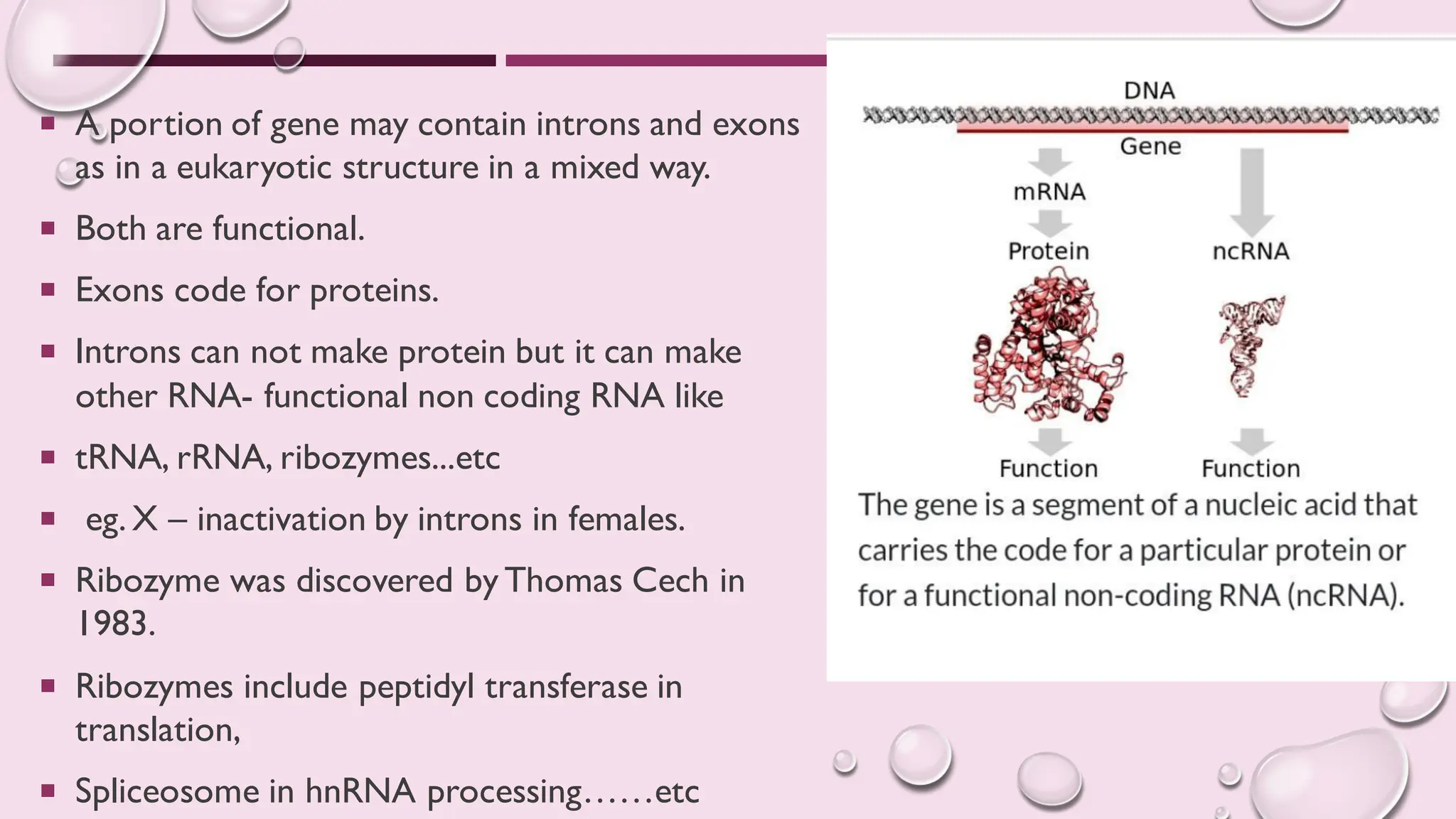 Concept Of Gene And Complementation Test Pdf