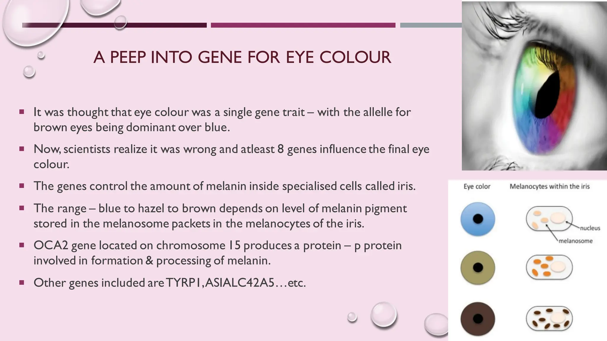 Concept of gene and Complementation test.pdf