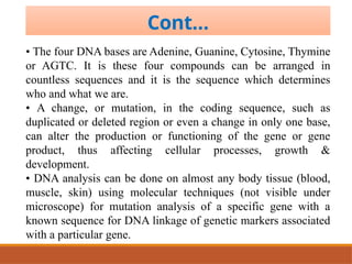 Comprehensive Overview of Genes, Chromosomes, and DNA Structure and ...