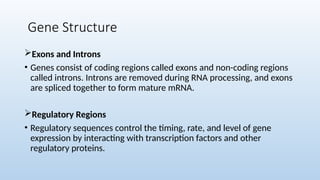 Gene Non Coding Intron concept of genes.pptx..................... | PPTX