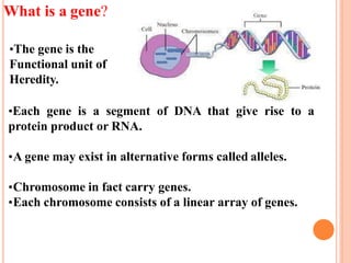Concept of Genes by Danish Shafi Mir 22MBI20005.pptx