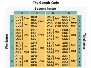 The Genetic Code
 
