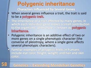Additive Inheritance Concept_of_genetics_and_Mendel Gregor.pptx