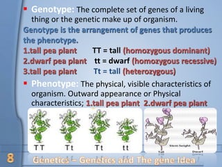 Concept_of_genetics_and_Mendel Gregor.pptx