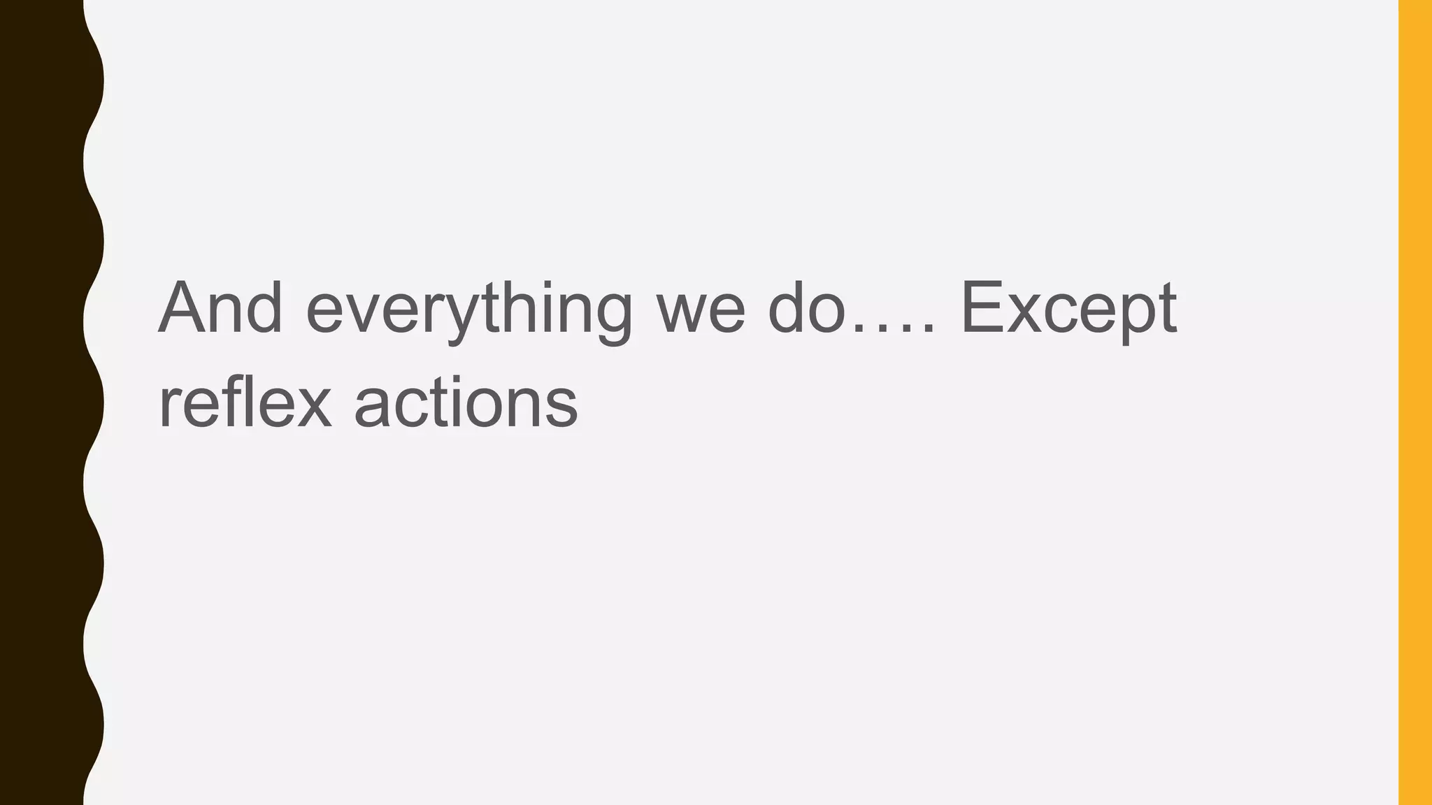 And everything we do…. Except
reflex actions
 